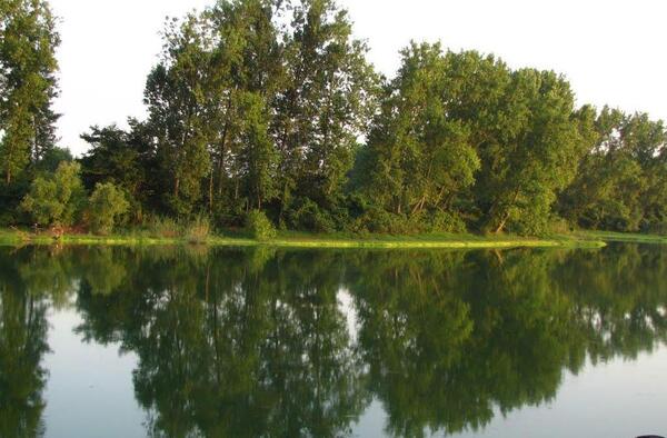عکس هوایی تالاب عینک