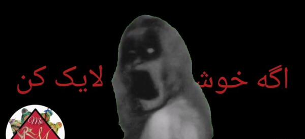 عکس ترسناک نینجا