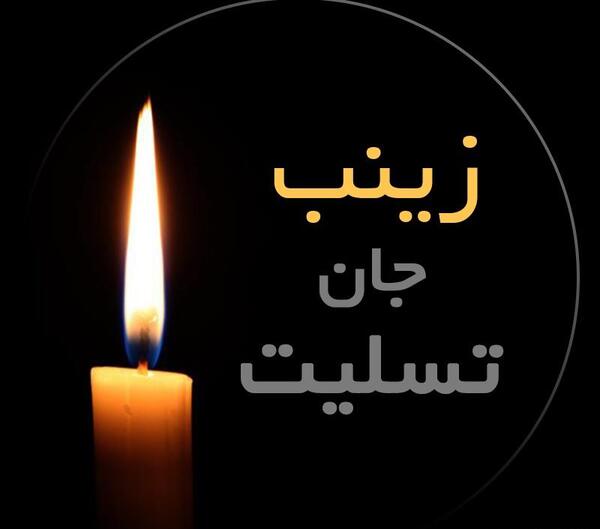 عکس نوشته زینب برا پروفایل