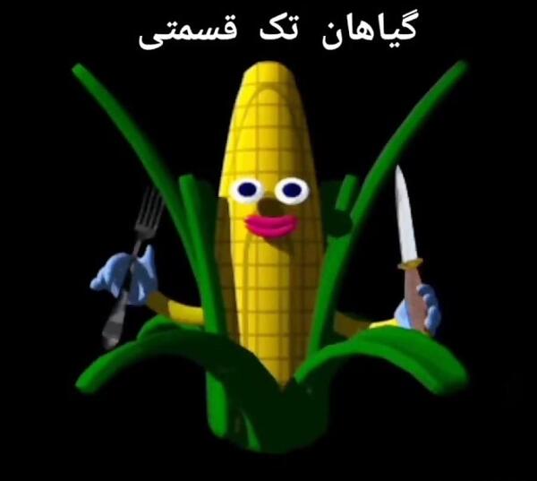 عکس گیاه دو لپه ای
