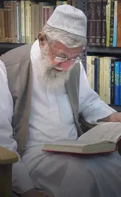 عکس خواهر زاده خامنه ای