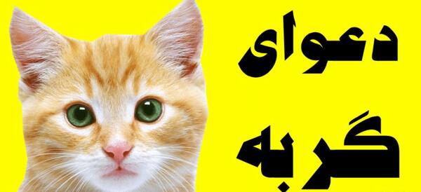 عکس گربه شیطان