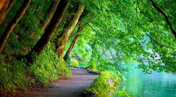 عکس بهشت در خواب