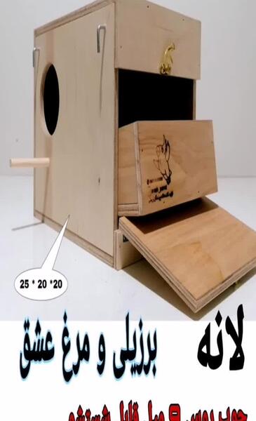 عکس لانه ی مرغ عشق