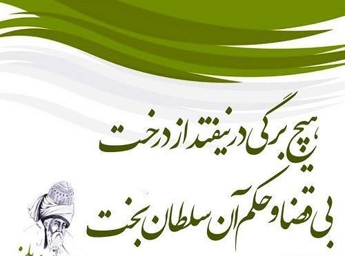 عکس نوشته در مورد مصلحت خدا