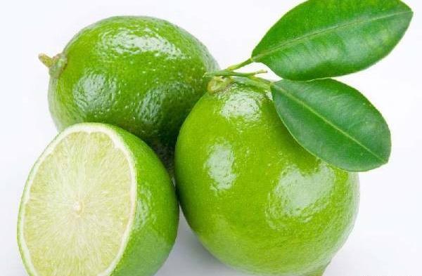 عکس شکوفه لیمو