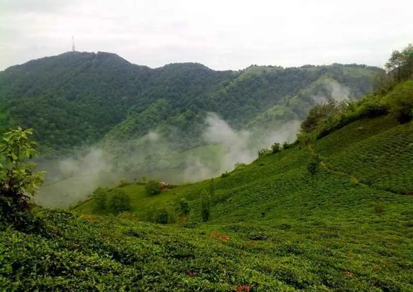 عکس شهر یا روستا