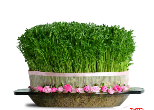 عکس هفت سین در فضای باز