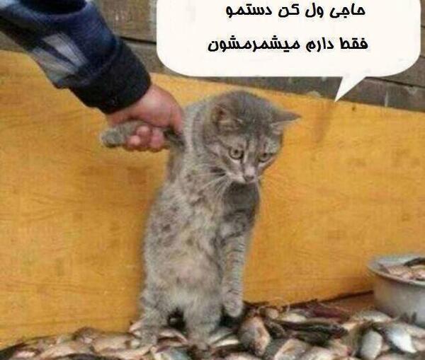 عکس خنده دار پسرا
