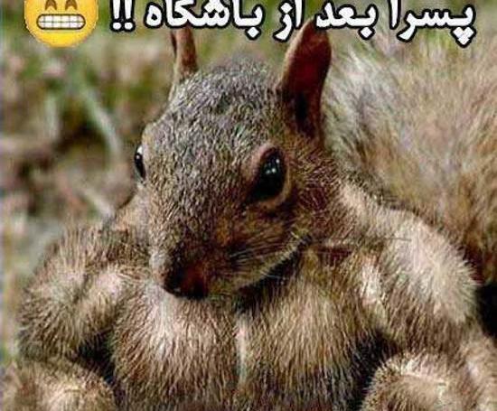 عکس خنده دار پسرا