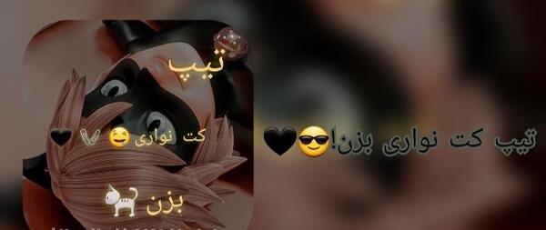 عکس وبلاگ لیدی باگ