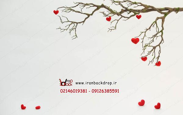 عکس لاکچری ولنتاین