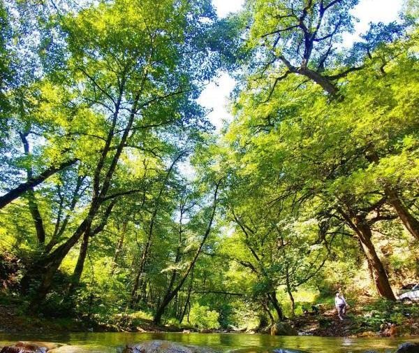 عکسهای طبیعت ایران زیبا