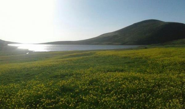 عکسهای طبیعت ایران زیبا