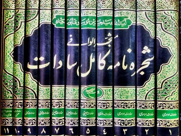 عکس فرشته سادات حسینی شاعر