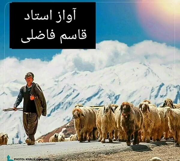 عکس پویا گله داری