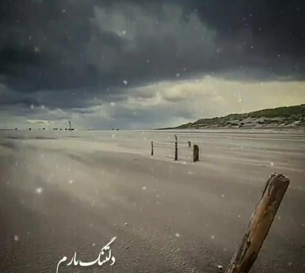 عکس پویا گله داری
