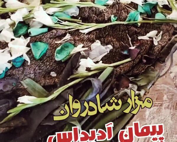 عکس پیمان ادیداس مردن