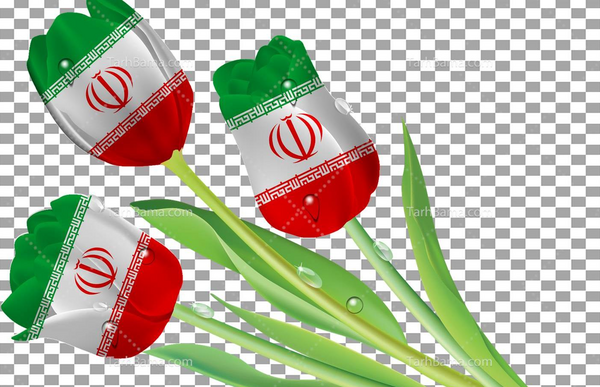 عکس گل لاله پرچم ایران