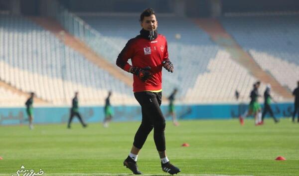 عکس حامد لک