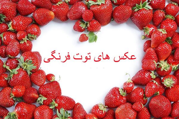 عکس فانتزی توت فرنگی