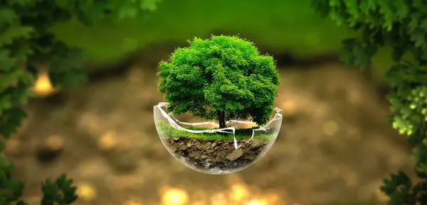 عکس نوشته در مورد طبیعت