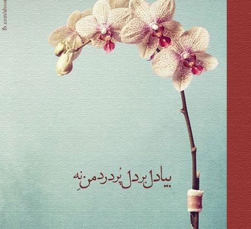 عکس نوشته مفهومی عرفانی