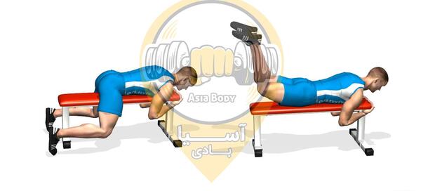 عکس موش روی کیک