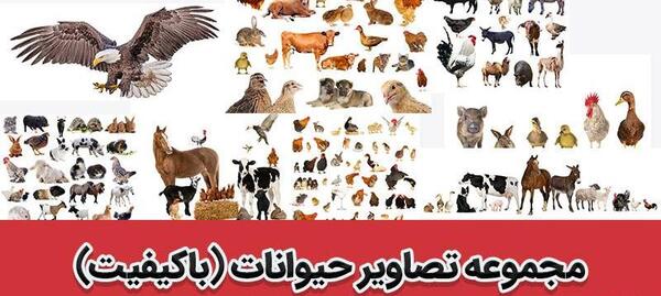 عکس حیوانات غیر واقعی