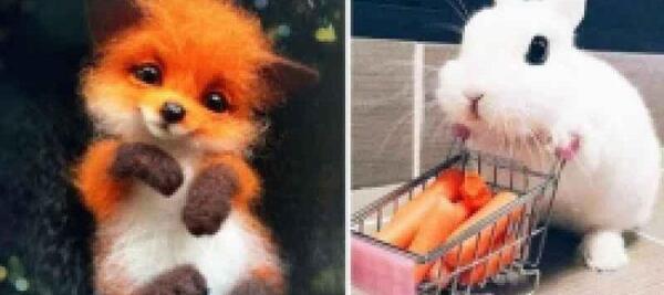 عکس حیوانات غیر واقعی
