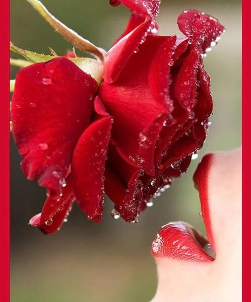 عکس های عشقم رفت