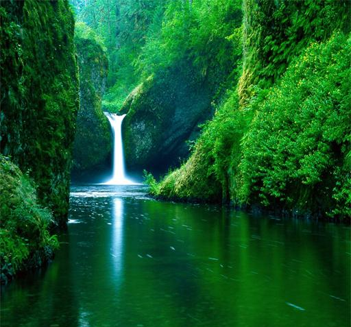 عکس طبیعت منظره