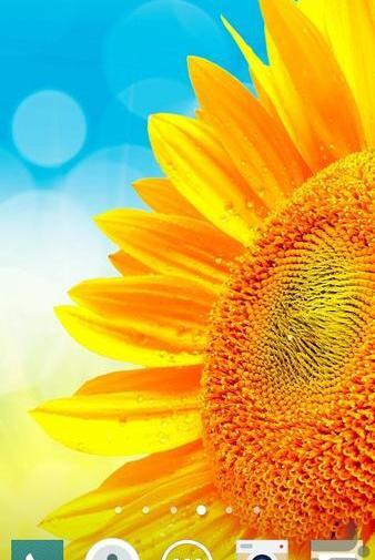 عکس تصویر پس زمینه خودکار