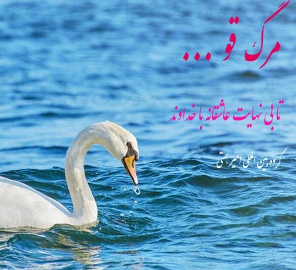 عکس امیر همتی