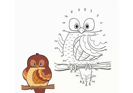 عکس جغد قرمز