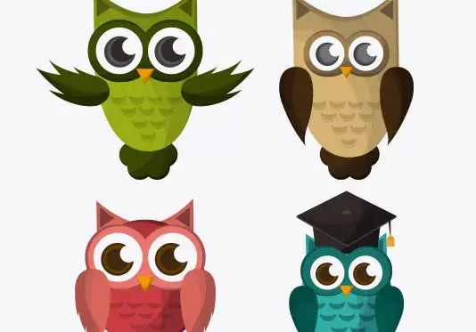 عکس جغد قرمز