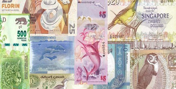 عکس پول جهان