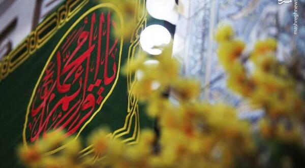 عکس تصاویر نیمه شعبان در کربلا