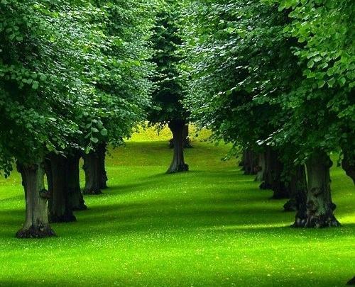 عکس بهشت واقعی خدا