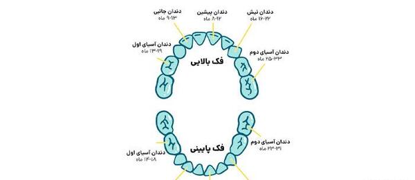 عکس لثه نوزاد هنگام دندان دراوردن