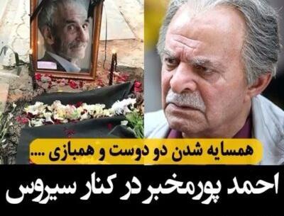 عکس پیکر آزاده نامداری