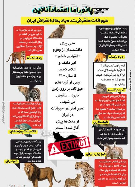 عکس روباه ایرانی منقرض شده