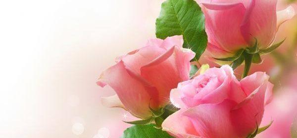 عکس دسته گل های خوشگل