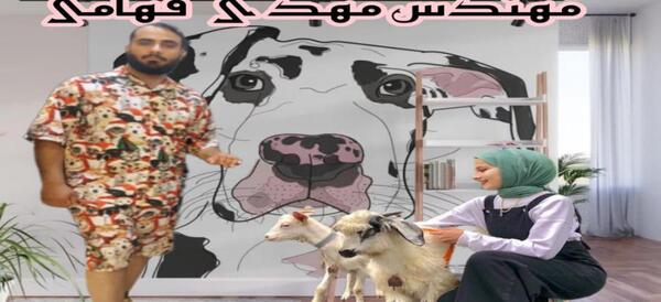 عکس آتلیه حیوانات