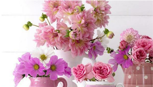 عکس ثریا معشوقه ی شهریار