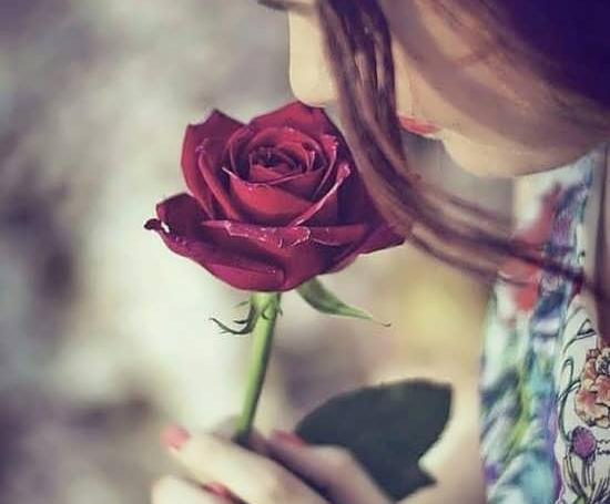 عکس گل جذاب برای پروفایل