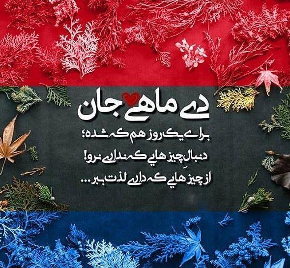 عکس دی ماهی جان تولدت