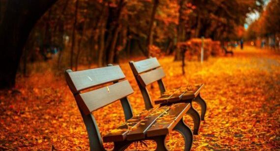 عکس نوشته در مورد پاییز برای پروفایل