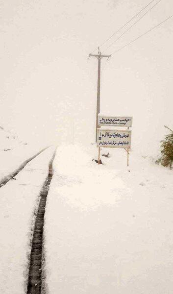 عکس برف مشگین شهر