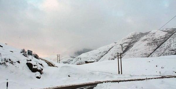 عکس برف مشگین شهر